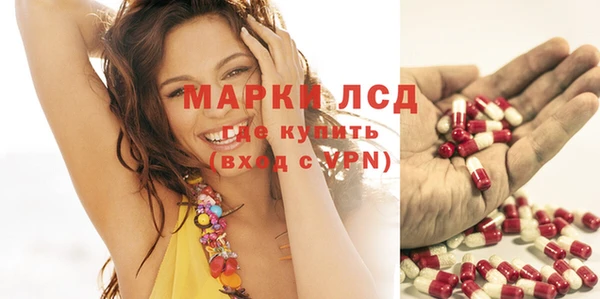 круглые Белокуриха