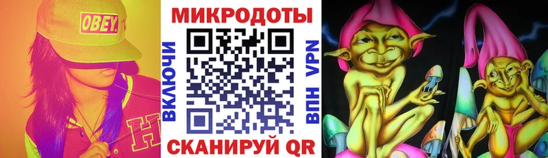 Псилоцибиновые грибы Psilocybe  нарко площадка какой сайт  Котельнич 